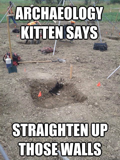 archaeology-kitten