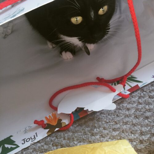 Christmas Bag Lilliput Cat
