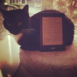 Lilliput Holder Cat Kindle ebook read Gail Carriger