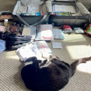 Lilliput Can Packing check bag kits