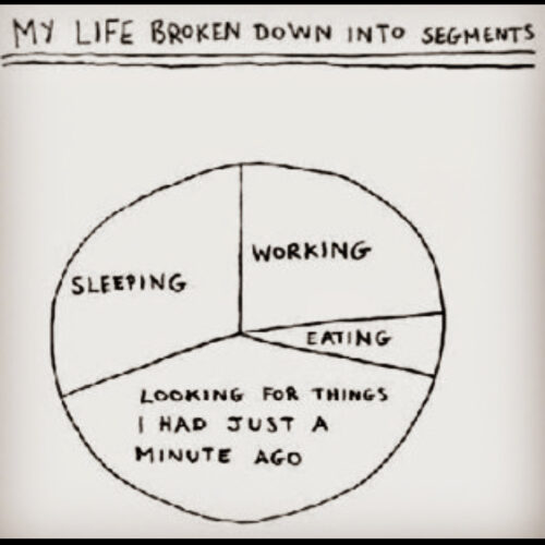 My Life in Segments Pie Chart Sleeping Working Eating Looking for things I just had a minute ago